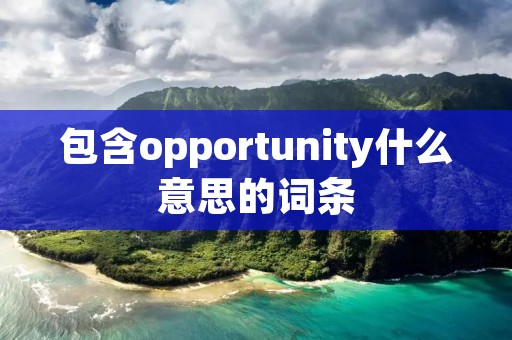 包含opportunity什么意思的词条