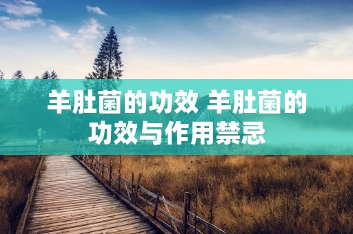 羊肚菌的功效 羊肚菌的功效与作用禁忌