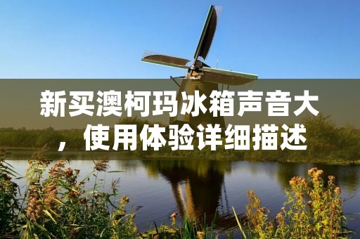 新买澳柯玛冰箱声音大，使用体验详细描述