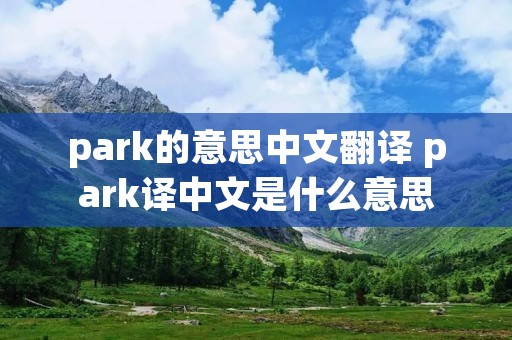 park的意思中文翻译 park译中文是什么意思