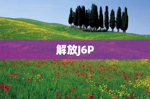 解放J6P：打破束缚，迈向自由