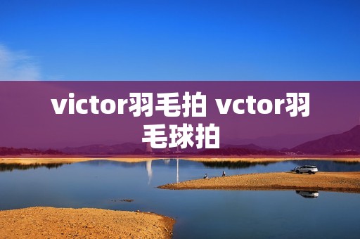 victor羽毛拍 vctor羽毛球拍