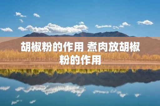 胡椒粉的作用 煮肉放胡椒粉的作用