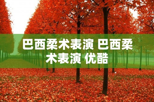 巴西柔术表演 巴西柔术表演 优酷