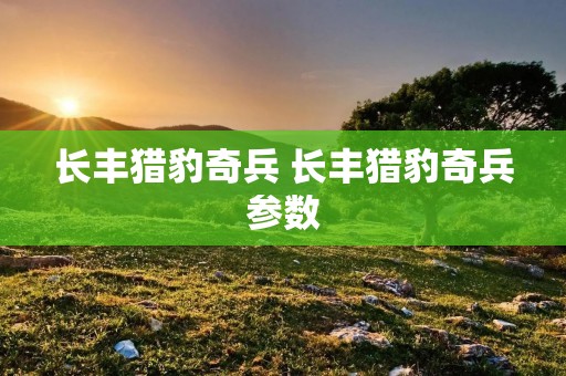 长丰猎豹奇兵 长丰猎豹奇兵参数