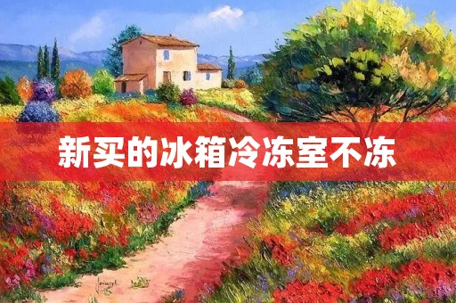新买的冰箱冷冻室不冻：原因分析与解决方法
