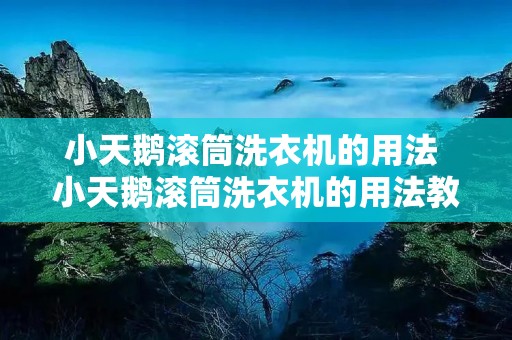 小天鹅滚筒洗衣机的用法 小天鹅滚筒洗衣机的用法教程 小天鹅滚筒洗衣机的用法 小天鹅滚筒洗衣机的用法教程