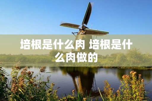 培根是什么肉 培根是什么肉做的