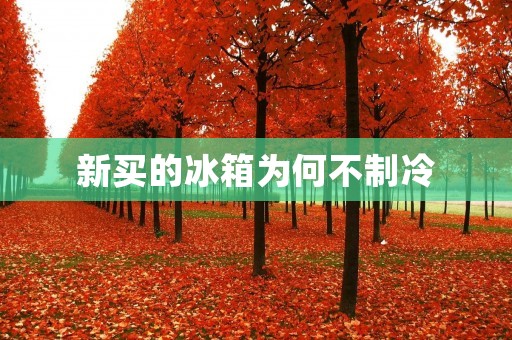 新买的冰箱为何不制冷 新买的冰箱为何不制冷