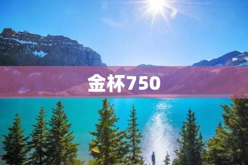 金杯750:卓越性能与可靠品质的完美结合 金杯750:卓越性能与可靠品质的完美结合