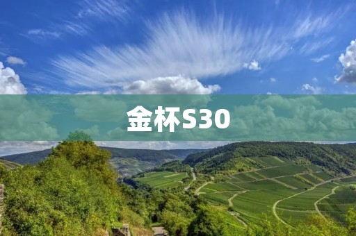 金杯S30:舒适实用的家庭座驾 金杯S30:舒适实用的家庭座驾