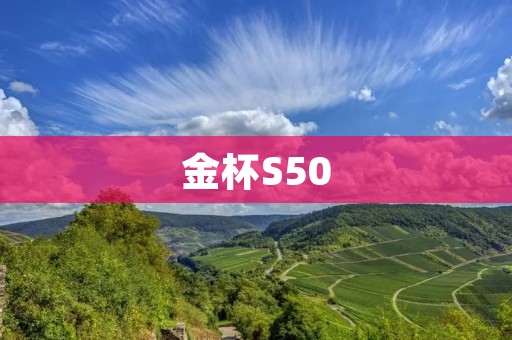 金杯S50：领跑城市商用车的新选择