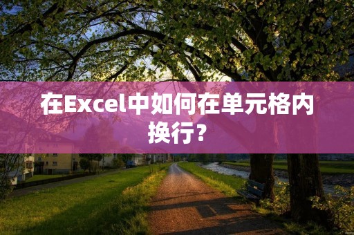 在Excel中如何在单元格内换行?