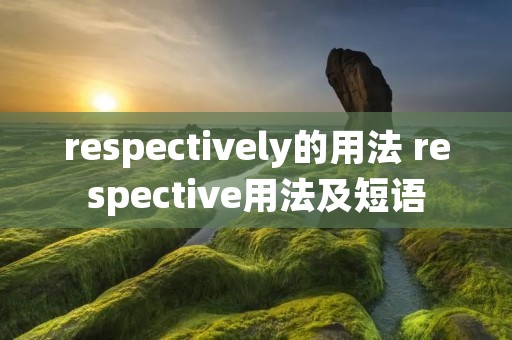 respectively的用法 respective用法及短语