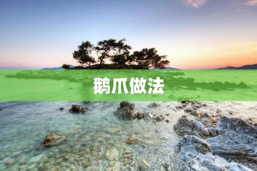 鹅爪做法：美味鹅爪的制作秘诀