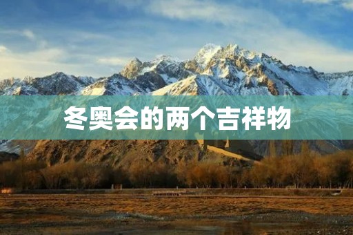 冬奥会的两个吉祥物:熊猫冰雪和冰晶雪子 冬奥会的两个吉祥物:熊猫冰雪和冰晶雪子