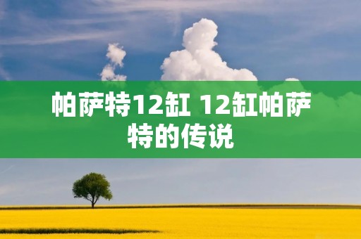 帕萨特12缸 12缸帕萨特的传说