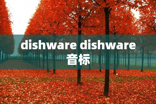 dishware dishware音标