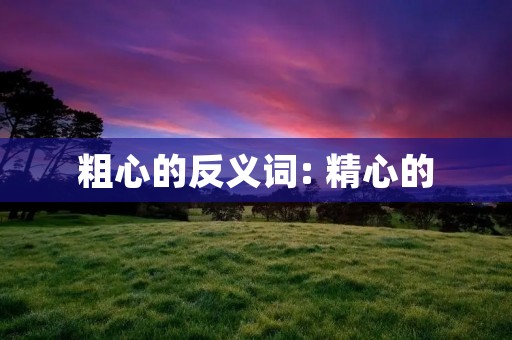 粗心的反义词: 精心的