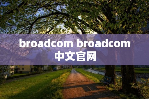 broadcom broadcom中文官网
