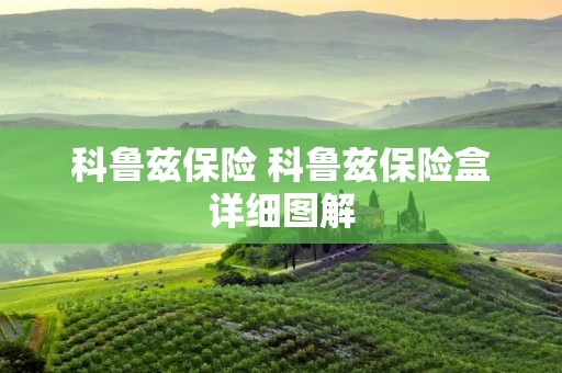 科鲁兹保险 科鲁兹保险盒详细图解