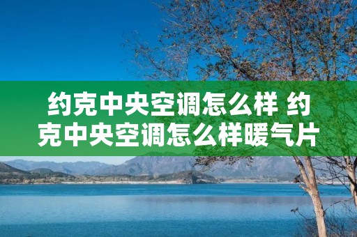 约克中央空调怎么样 约克中央空调怎么样暖气片开几度