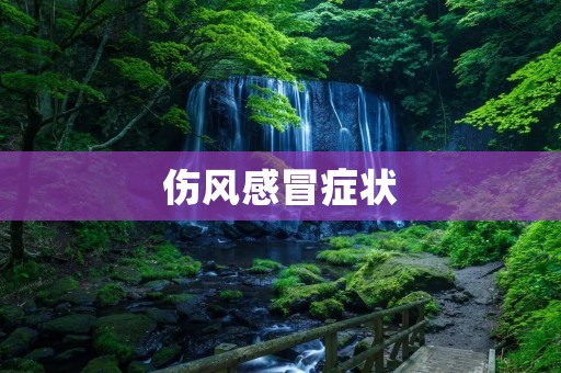 伤风感冒症状:详细描述