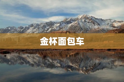 金杯面包车:打造商业运输的首选利器 金杯面包车:打造商业运输的首选利器
