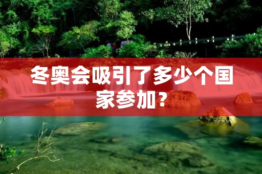 冬奥会吸引了多少个国家参加？