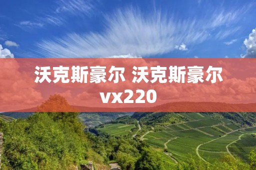 沃克斯豪尔 沃克斯豪尔vx220 沃克斯豪尔 沃克斯豪尔vx220