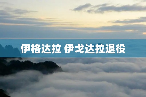 伊格达拉 伊戈达拉退役 伊格达拉 伊戈达拉退役