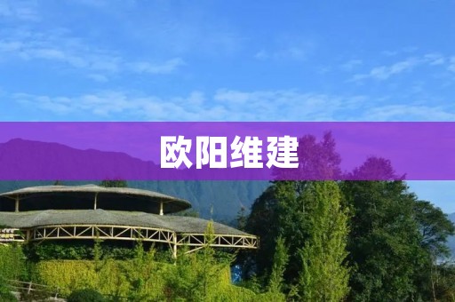 欧阳维建:中国文化研究的杰出学者与思想家