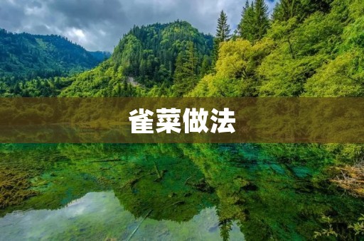 雀菜做法:美味佳肴的制作秘籍 雀菜做法:美味佳肴的制作秘籍