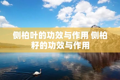 侧柏叶的功效与作用 侧柏籽的功效与作用
