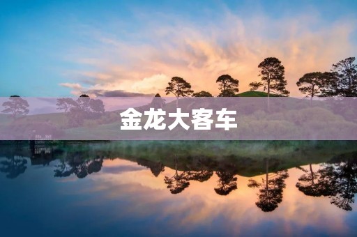 金龙大客车:品质卓越的出行选择 金龙大客车:品质卓越的出行选择