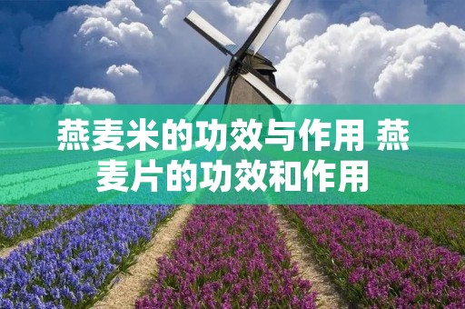 燕麦米的功效与作用 燕麦片的功效和作用