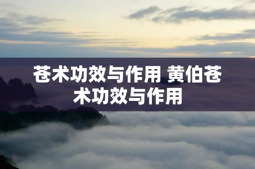 苍术功效与作用 黄伯苍术功效与作用