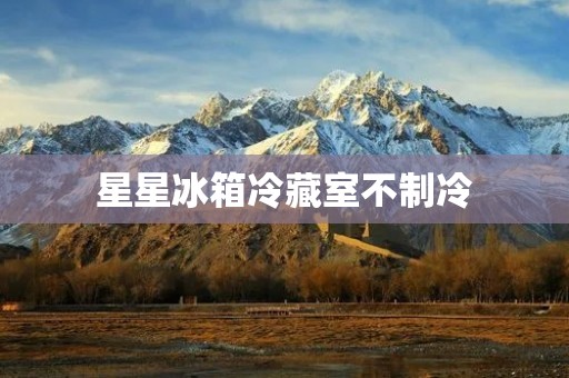 星星冰箱冷藏室不制冷：原因与解决方法
