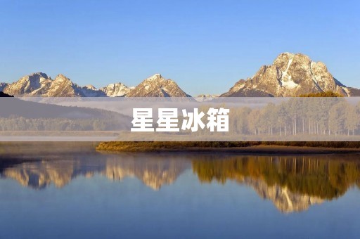 星星冰箱：一款来自中国的品牌力作