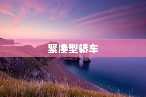 紧凑型轿车:小巧身形,大有内涵 紧凑型轿车:小巧身形,大有内涵