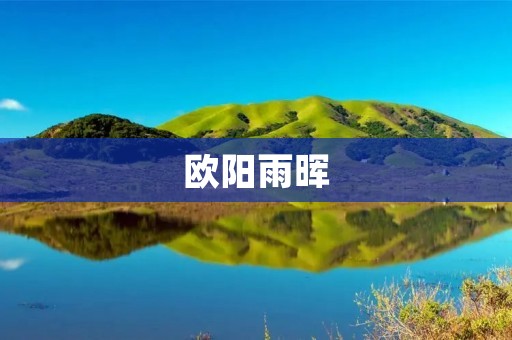 欧阳雨晖:创新创业教育领域的先驱者