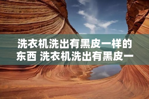 洗衣机洗出有黑皮一样的东西 洗衣机洗出有黑皮一样的东西在滤盒里面