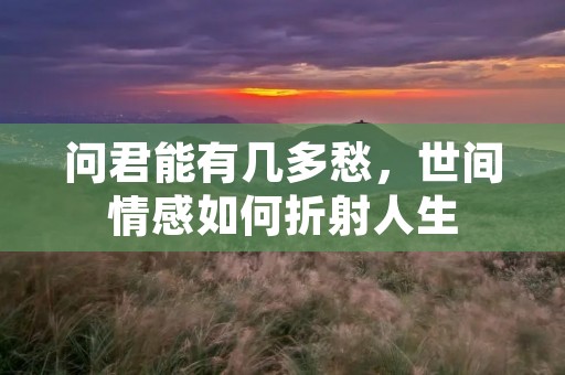 问君能有几多愁,世间情感如何折射人生 问君能有几多愁,世间情感如何折射人生