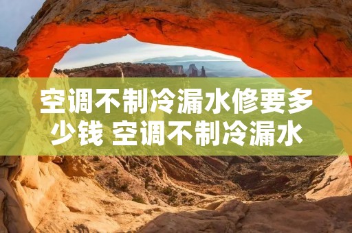 空调不制冷漏水修要多少钱 空调不制冷漏水修要多少钱费用