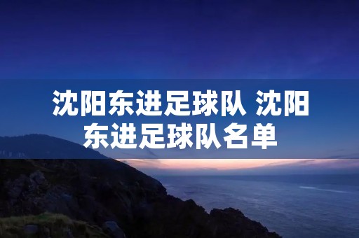 沈阳东进足球队 沈阳东进足球队名单