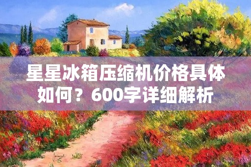 星星冰箱压缩机价格具体如何？600字详细解析