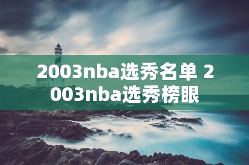 2003nba选秀名单 2003nba选秀榜眼