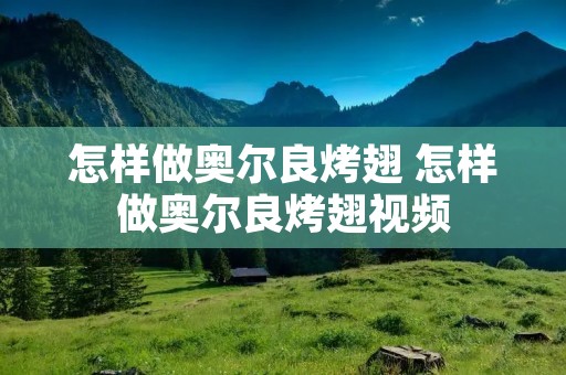 怎样做奥尔良烤翅 怎样做奥尔良烤翅视频