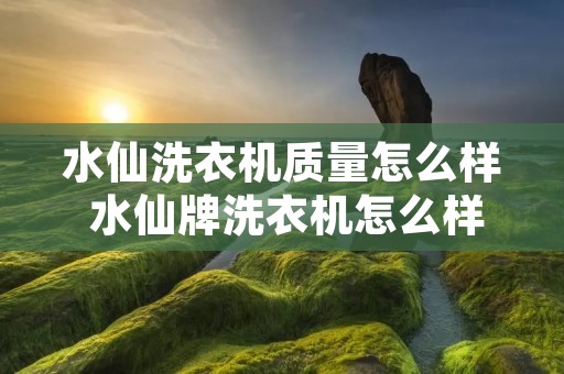 水仙洗衣机质量怎么样 水仙牌洗衣机怎么样