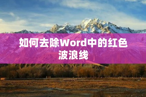 如何去除Word中的红色波浪线